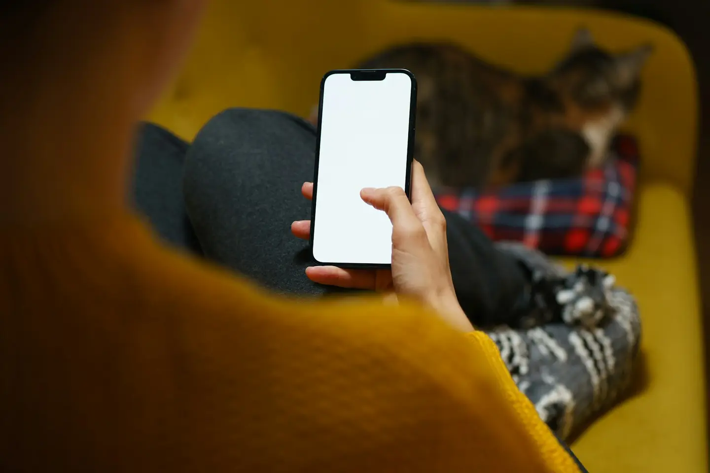 A person sits in a yellow armchair and holds a phone, with a cat asleep beside them.